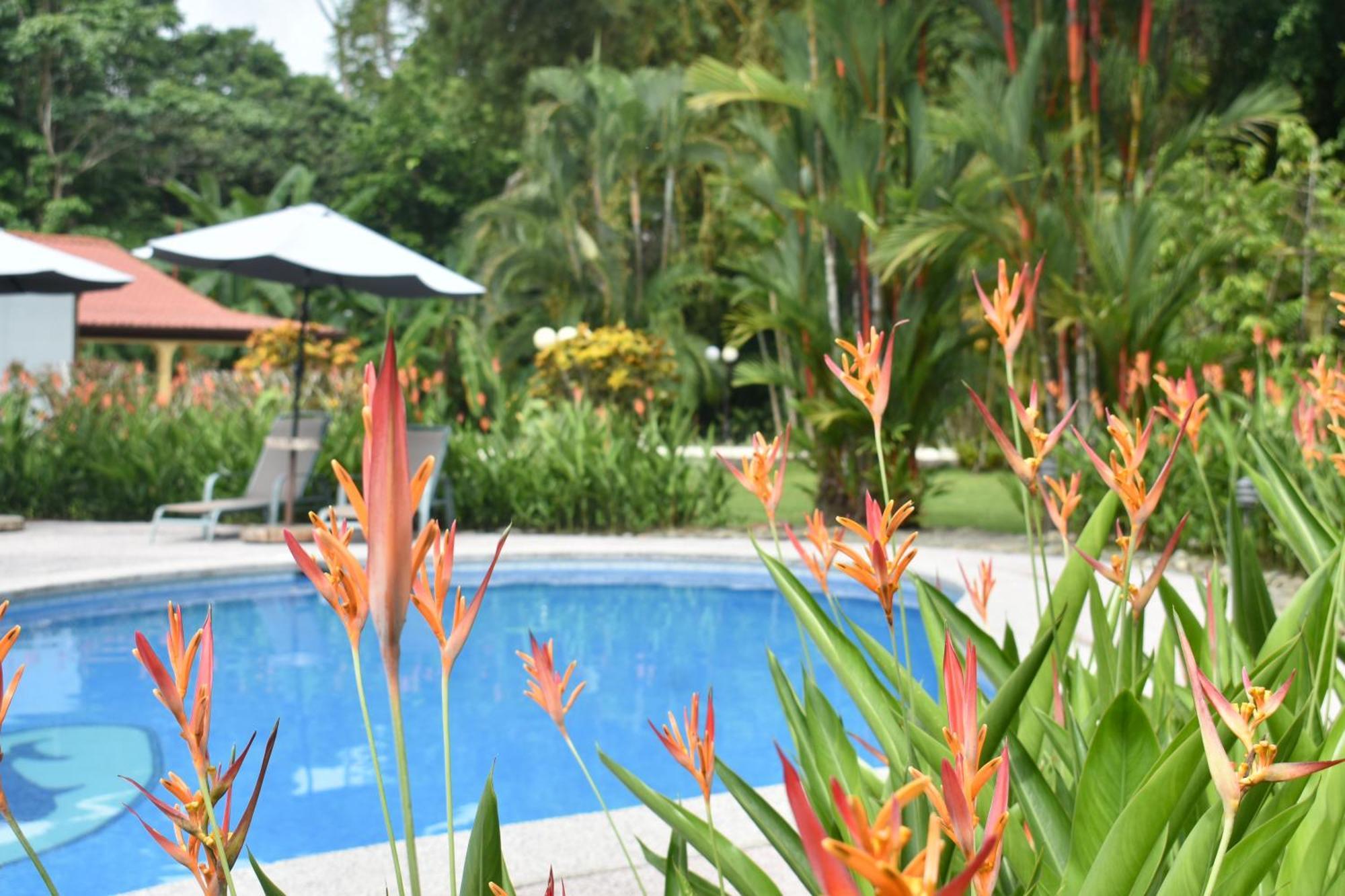 Hotel Playa Espadilla & Gardens Мануель-Антоніо Екстер'єр фото